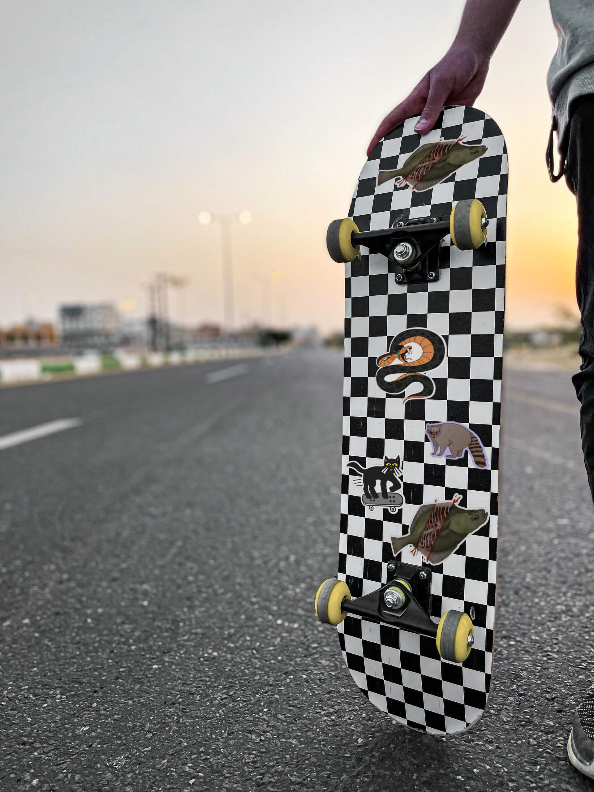 Person holding a skateboard with a checkered pattern and animal stickers, standing on an empty road at sunset.