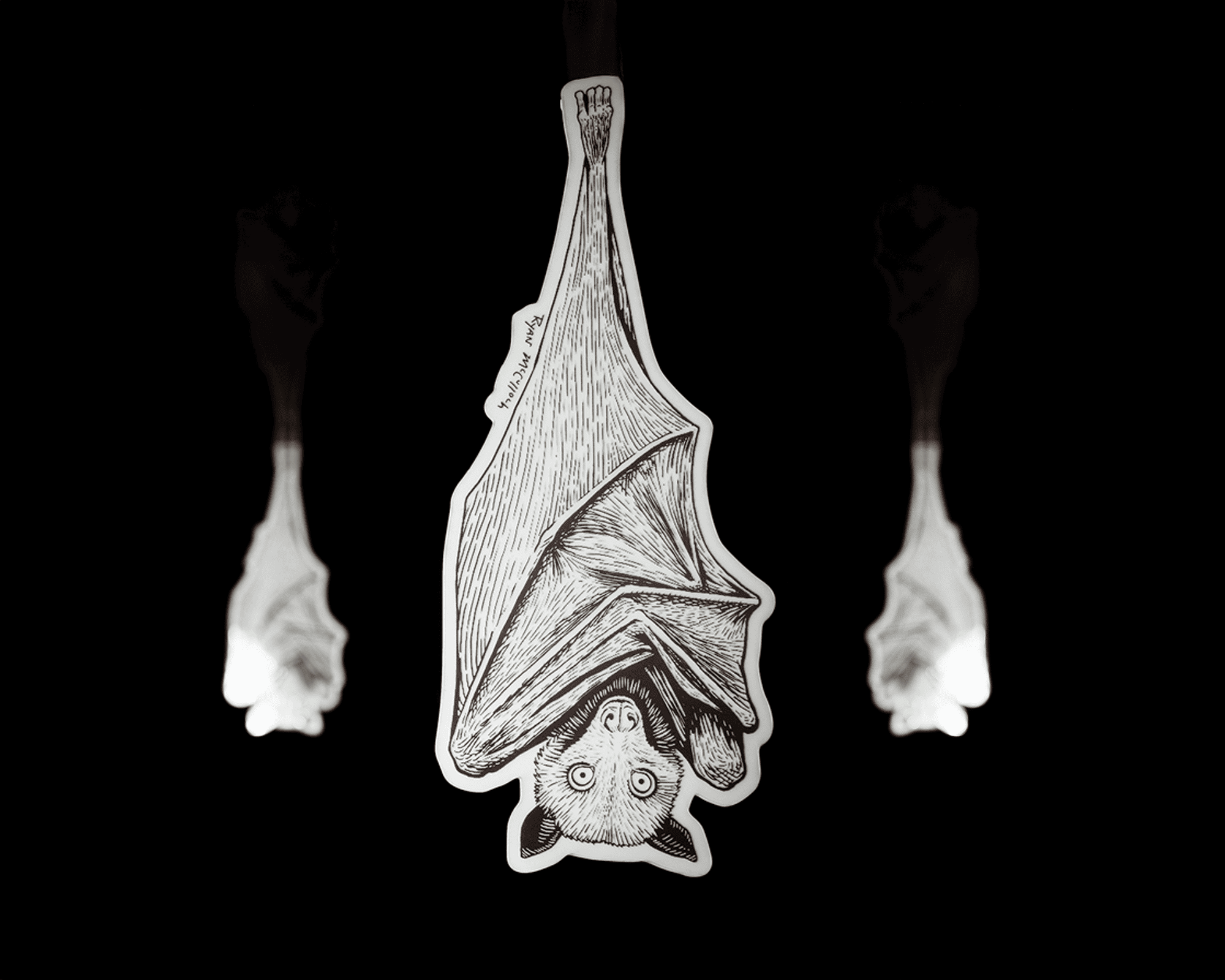 A sticker of a bat hanging upside down against a dark background, with wings wrapped around its body.
